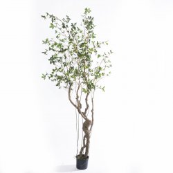 Supergreens Τεχνητό Δέντρο Φίκος Microcarpa Πράσιν Supergreens Τεχνητό Δέντρο Φίκος Microcarpa Πράσιν