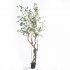 Supergreens Τεχνητό Δέντρο Φίκος Microcarpa Πράσιν