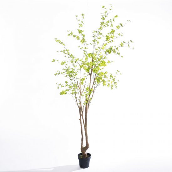 Supergreens Τεχνητό Δέντρο Φίκος Pumila Πράσινο 24 Supergreens Τεχνητό Δέντρο Φίκος Pumila Πράσινο 24