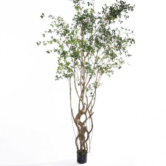 Supergreens Τεχνητό Δέντρο Φίκος Microcarpa Πράσιν Supergreens Τεχνητό Δέντρο Φίκος Microcarpa Πράσιν