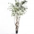 Supergreens Τεχνητό Δέντρο Φίκος Microcarpa Πράσιν
