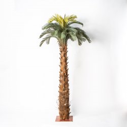 Supergreens Τεχνητό Δέντρο Τσίκας Palm Πράσινο 180 Supergreens Τεχνητό Δέντρο Τσίκας Palm Πράσινο 180