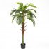 Supergreens Τεχνητό Δέντρο Φοίνικας Coconut Πράσιν