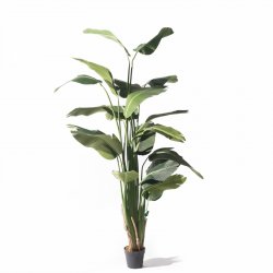 Supergreens Τεχνητό Δέντρο Πουλί του Παραδείσου St Supergreens Τεχνητό Δέντρο Πουλί του Παραδείσου St