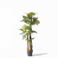 Supergreens Τεχνητό Δέντρο Αλοκάσια Elephant Ears 