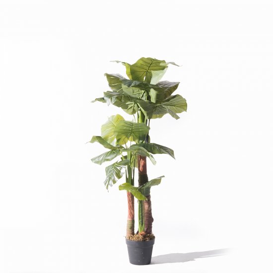 Supergreens Τεχνητό Δέντρο Αλοκάσια Elephant Ears Supergreens Τεχνητό Δέντρο Αλοκάσια Elephant Ears