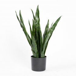 Supergreens Τεχνητό Φυτό Σανσεβιέρια Robusta Πράσι Supergreens Τεχνητό Φυτό Σανσεβιέρια Robusta Πράσι