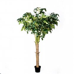 Supergreens Τεχνητό Δέντρο Φίκος Supergreens Τεχνητό Δέντρο Φίκος