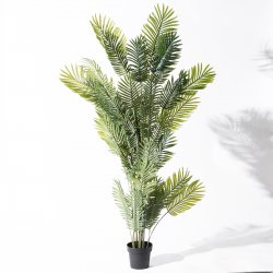 Supergreens Τεχνητό Δέντρο Αρέκα Πράσινο 190 εκ. Supergreens Τεχνητό Δέντρο Αρέκα Πράσινο 190 εκ.