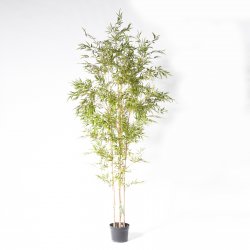 Supergreens Τεχνητό Δέντρο Μπαμπού Lucky Πράσινο 2 Supergreens Τεχνητό Δέντρο Μπαμπού Lucky Πράσινο 2