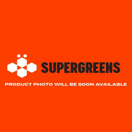 Supergreens Τεχνητό Δέντρο Μπανανιά Πράσινο 500 εκ Supergreens Τεχνητό Δέντρο Μπανανιά Πράσινο 500 εκ