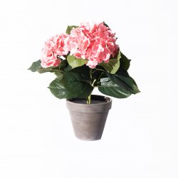 Supergreens Τεχνητό Φυτό Ορτανσία Ροζ 40 εκ. Supergreens Τεχνητό Φυτό Ορτανσία Ροζ 40 εκ.