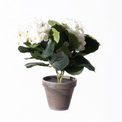 Supergreens Τεχνητό Φυτό Ορτανσία Λευκό 40 εκ. Supergreens Τεχνητό Φυτό Ορτανσία Λευκό 40 εκ.