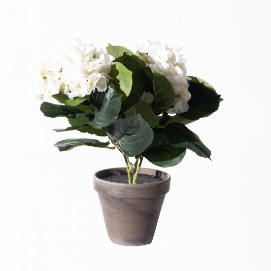 Supergreens Τεχνητό Φυτό Ορτανσία Λευκό 40 εκ. Supergreens Τεχνητό Φυτό Ορτανσία Λευκό 40 εκ.