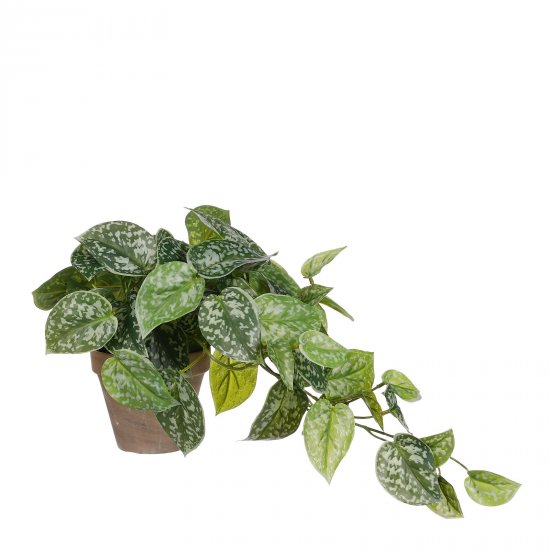 Supergreens Τεχνητό Φυτό Πόθος Scindapsus Πράσινο Supergreens Τεχνητό Φυτό Πόθος Scindapsus Πράσινο