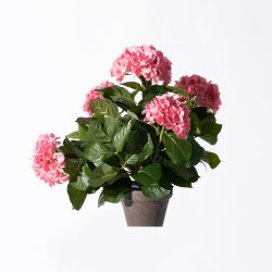Supergreens Τεχνητό Φυτό Ορτανσία Ροζ 45 εκ. Supergreens Τεχνητό Φυτό Ορτανσία Ροζ 45 εκ.