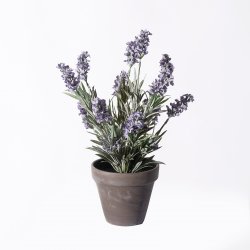 Supergreens Τεχνητό Φυτό Λεβάντα Μωβ 33 εκ. Supergreens Τεχνητό Φυτό Λεβάντα Μωβ 33 εκ.