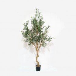 Supergreens Τεχνητό Δέντρο Ελιά Supergreens Τεχνητό Δέντρο Ελιά