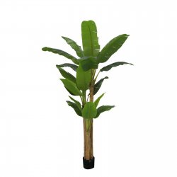 Supergreens Τεχνητό Δέντρο Μπανανιά Supergreens Τεχνητό Δέντρο Μπανανιά