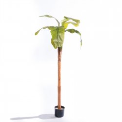 Supergreens Τεχνητό Δέντρο Μπανανιά Supergreens Τεχνητό Δέντρο Μπανανιά