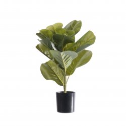 Supergreens Τεχνητό Φυτό Φίκος Λυράτα Πράσινο 50 ε Supergreens Τεχνητό Φυτό Φίκος Λυράτα Πράσινο 50 ε