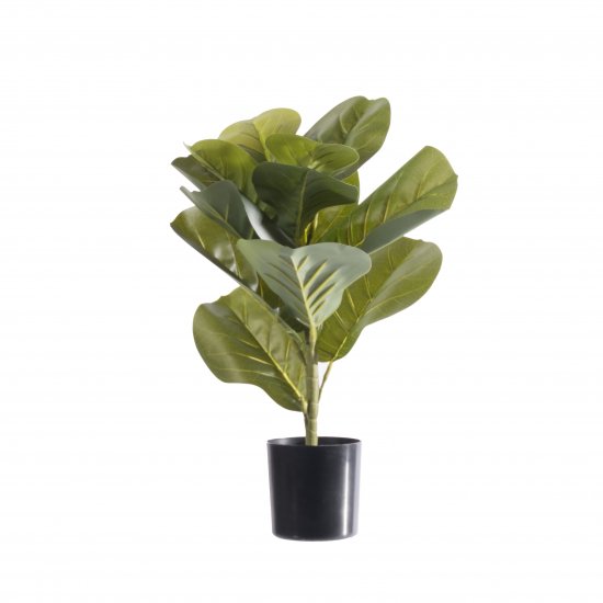 Supergreens Τεχνητό Φυτό Φίκος Λυράτα Πράσινο 50 ε Supergreens Τεχνητό Φυτό Φίκος Λυράτα Πράσινο 50 ε
