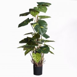 Supergreens Τεχνητό Φυτό Πόθος Πράσινο 83 εκ. Supergreens Τεχνητό Φυτό Πόθος Πράσινο 83 εκ.