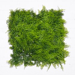 Supergreens Τεχνητή Φυλλωσιά Φτέρη Supergreens Τεχνητή Φυλλωσιά Φτέρη