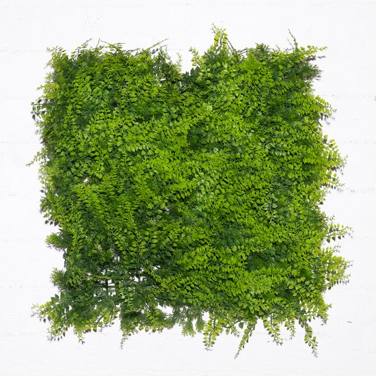 Supergreens Τεχνητή Φυλλωσιά Φτέρη Supergreens Τεχνητή Φυλλωσιά Φτέρη