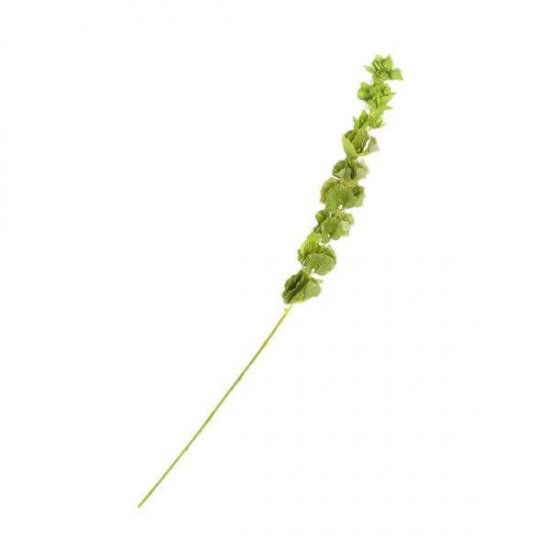 Supergreens Τεχνητό Κλωνάρι Καμπάνες της Ιρλανδίας Supergreens Τεχνητό Κλωνάρι Καμπάνες της Ιρλανδίας