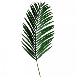 Supergreens Τεχνητό Φύλλο Αρέκα 120 εκ. Supergreens Τεχνητό Φύλλο Αρέκα 120 εκ.