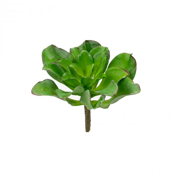 Supergreens Τεχνητό Χωνευτό Παχύφυτο Supergreens Τεχνητό Χωνευτό Παχύφυτο