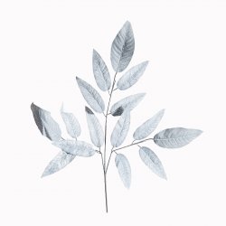 Supergreens Τεχνητό Κλωνάρι Βότανο Μαύρο 72 εκ. Supergreens Τεχνητό Κλωνάρι Βότανο Μαύρο 72 εκ.