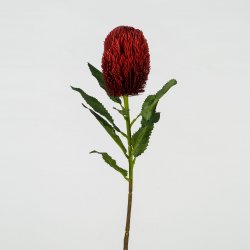 Supergreens Τεχνητό Κλωνάρι Βαγξία Κόκκινο 65 εκ. Supergreens Τεχνητό Κλωνάρι Βαγξία Κόκκινο 65 εκ.