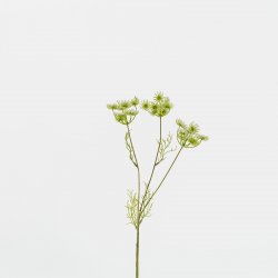 Supergreens Τεχνητό Κλωνάρι Δαύκος ʼσπρος 52 εκ. Supergreens Τεχνητό Κλωνάρι Δαύκος ʼσπρος 52 εκ.