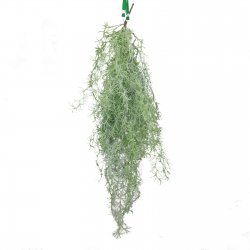 Supergreens Τεχνητή Κρεμαστή Τιλάνσια Πράσινη 90 ε Supergreens Τεχνητή Κρεμαστή Τιλάνσια Πράσινη 90 ε
