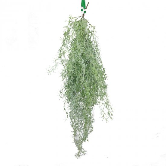 Supergreens Τεχνητή Κρεμαστή Τιλάνσια Πράσινη 90 ε Supergreens Τεχνητή Κρεμαστή Τιλάνσια Πράσινη 90 ε
