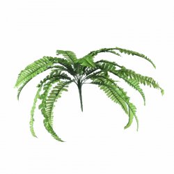 Supergreens Τεχνητή Χωνευτή Φτέρη Πράσινη 50 εκ.
