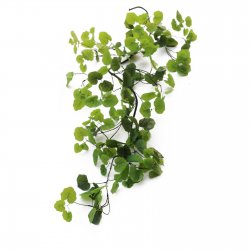 Supergreens Τεχνητή Γιρλάντα Μπιγκόνια Velvetleaf Supergreens Τεχνητή Γιρλάντα Μπιγκόνια Velvetleaf
