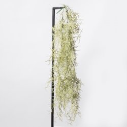 Supergreens Τεχνητή Κρεμαστή Τιλάνσια Πράσινη Ανοι Supergreens Τεχνητή Κρεμαστή Τιλάνσια Πράσινη Ανοι