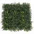 Supergreens Τεχνητή Φυλλωσιά Ρούσκος 50x50 εκ.