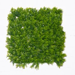 Supergreens Τεχνητή Φυλλωσιά Φτέρη Maidenhair 50x5 Supergreens Τεχνητή Φυλλωσιά Φτέρη Maidenhair 50x5
