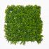 Supergreens Τεχνητή Φυλλωσιά Φτέρη Maidenhair 50x5