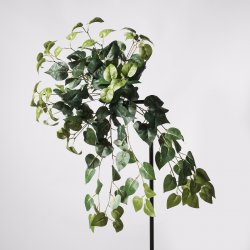 Supergreens Τεχνητός Κρεμαστός Κισσός Silver Πράσι