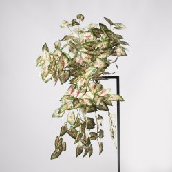 Supergreens Τεχνητός Κρεμαστός Κολεός Blumei Missi