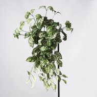 Supergreens Τεχνητός Κρεμαστός Κολεός Blumei Pinat