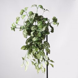 Supergreens Τεχνητός Κρεμαστός Κολεός Blumei Pinat