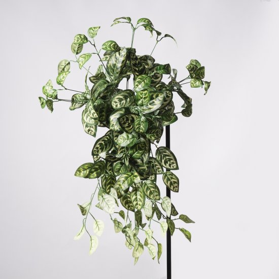 Supergreens Τεχνητός Κρεμαστός Κολεός Blumei Pinat Supergreens Τεχνητός Κρεμαστός Κολεός Blumei Pinat