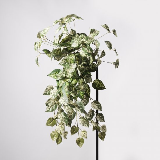 Supergreens Τεχνητός Κρεμαστός Κισσός Atlantic Πρά Supergreens Τεχνητός Κρεμαστός Κισσός Atlantic Πρά