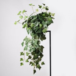 Supergreens Τεχνητός Κρεμαστός Κισσός Helix Πράσιν